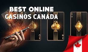 Best Live Casinos Online Experience Real Gaming from Home