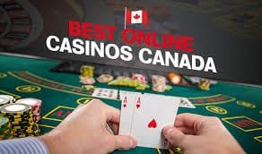 Discover the Best Online Casino Uncover Exciting Opportunities Discover the Best Online Casino Uncover Exciting Opportunities